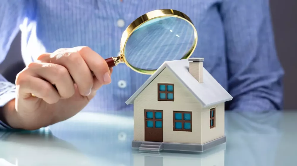 loupe maison prix